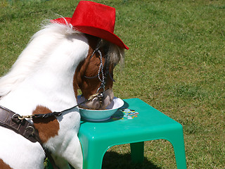 Image showing Table Manners