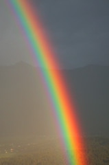 Image showing Rainbow