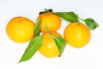 Image showing Satsumas