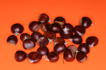 Image showing Chestnuts