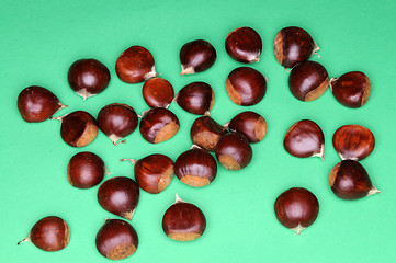 Image showing Chestnuts