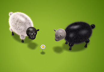 Image showing sheep