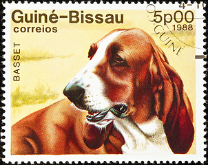 Image showing Basset dog stamp.
