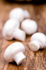 Image showing fresh champignon