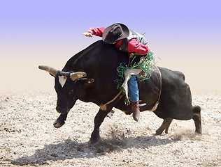 Image showing Cowboy Riding a Bull