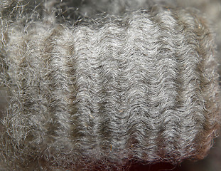 Image showing Wool staple