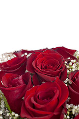 Image showing Red roses