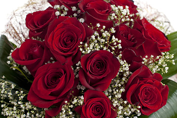 Image showing Red roses