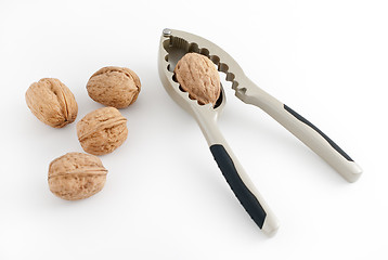 Image showing Walnuts