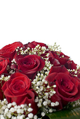 Image showing Red roses