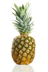 Image showing Pineapple