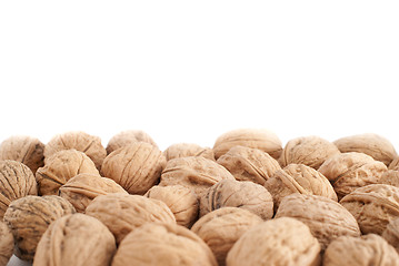 Image showing Walnuts