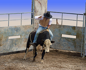 Image showing A Bull with Rider Coming out of the Gates