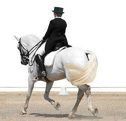 Image showing Advanced Dressage Test 