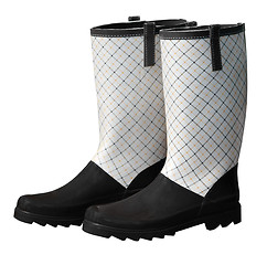 Image showing Fancy Gumboots