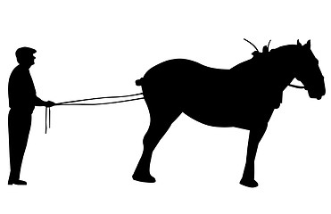 Image showing Silhouette of Clydesdale on Long Rein