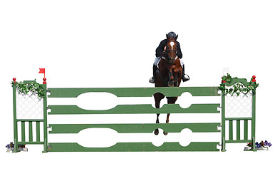 Image showing Horse and Rider over a Jump 