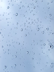 Image showing Rain droplets