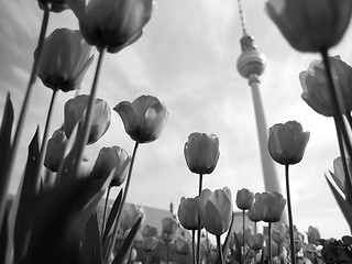 Image showing TV Tower, Berlin