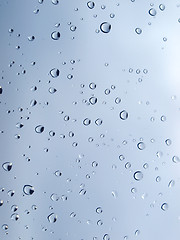 Image showing Rain droplets