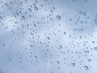 Image showing Rain droplets