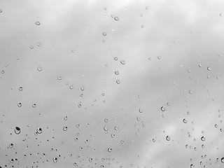 Image showing Rain droplets