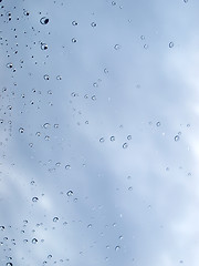 Image showing Rain droplets