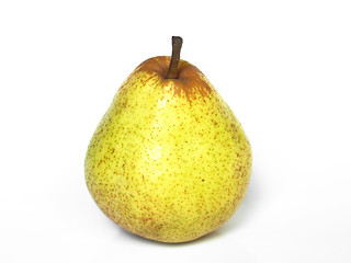 Image showing Pear