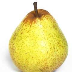 Image showing Pear