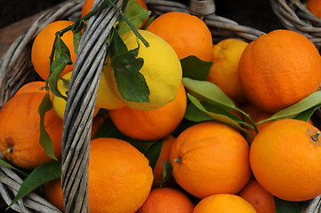 Image showing Closeup Oranges and Lemons in the Basket