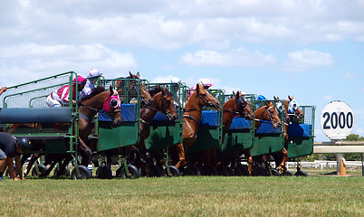 Image showing And They are Racing