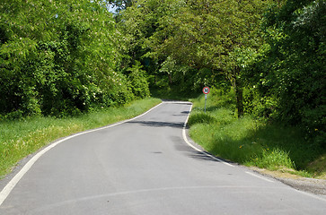 Image showing Rural road on bright sunny day