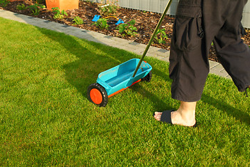 Image showing Gardening - fertilizing lawn