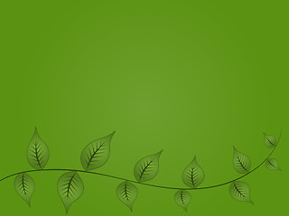 Image showing Green Vine Background