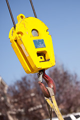 Image showing Yellow Crane Head with Red Hook