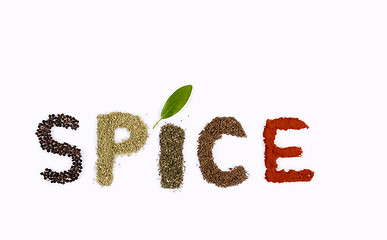 Image showing Spice