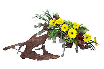 Image showing Floral Arrangement on Driftwood