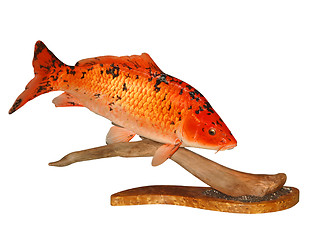 Image showing Mounted Koi Carp 