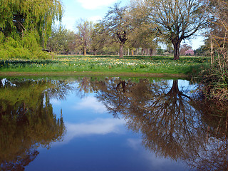 Image showing Tranquil Reflection