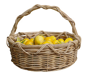 Image showing Basket of Fresh Lemons 