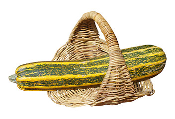 Image showing Large Marrow in Basket