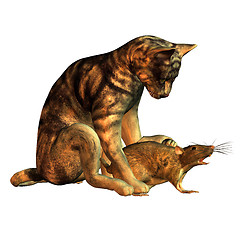 Image showing Cat and Mouse