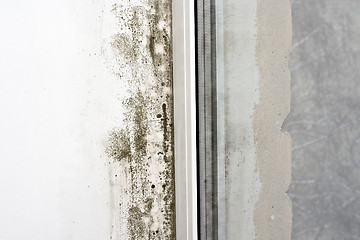 Image showing Mold on the wall