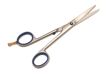 Image showing Hairdressing scissors