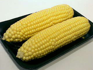 Image showing corn