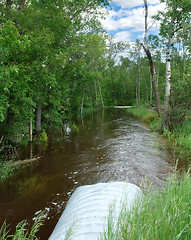 Image showing Flooding Creek