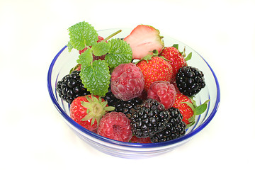 Image showing berries