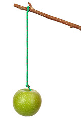 Image showing Apple and Stick