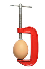 Image showing Egg in Clamp