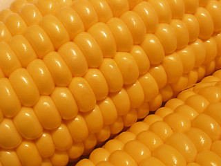 Image showing corn